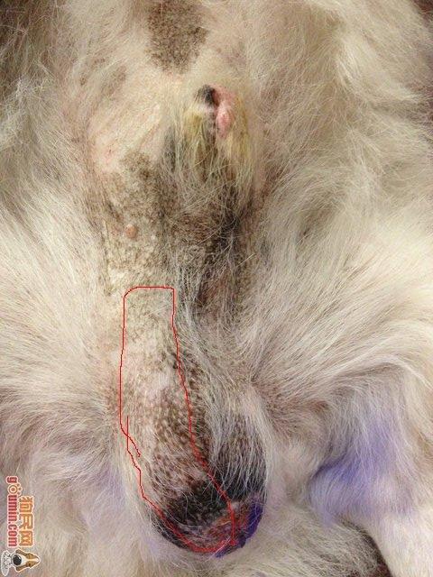 华体会体育hth官方网站