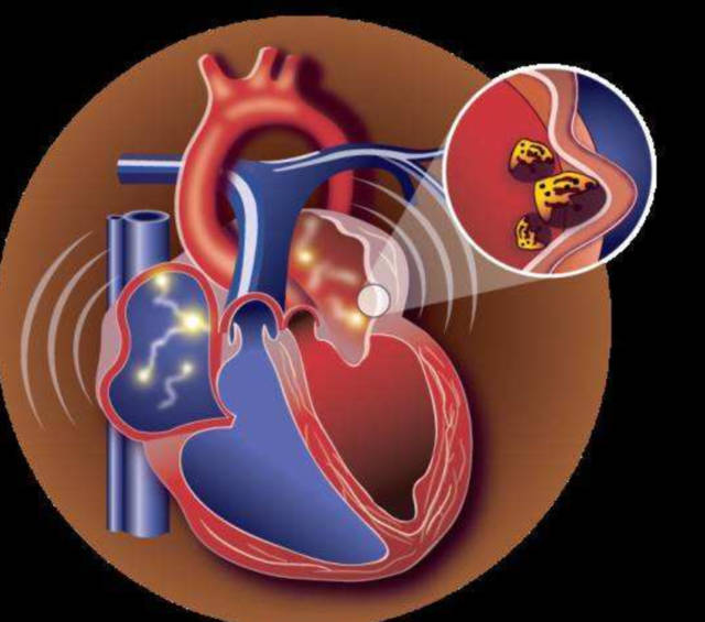 华体会体育hth官方网站