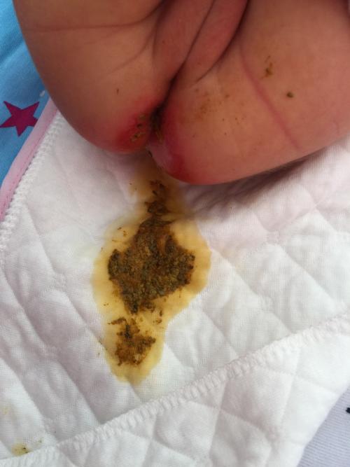 华体会体育hth官方网站