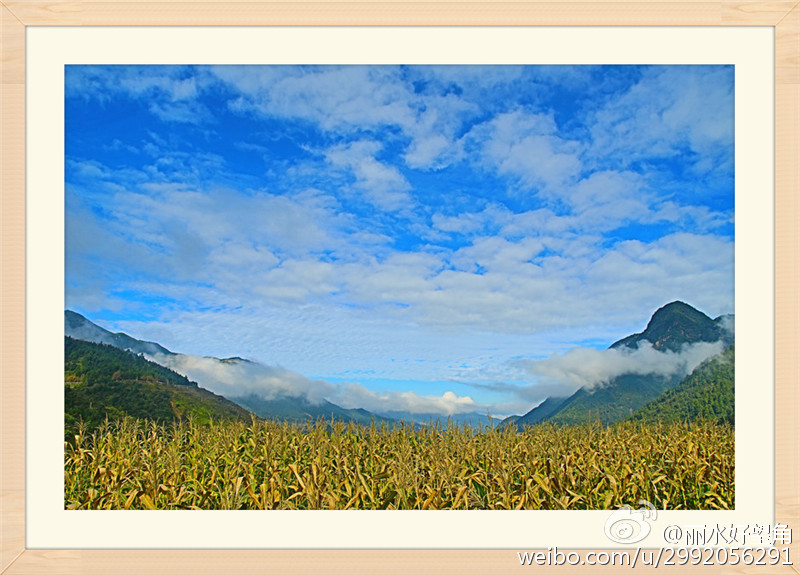“hth官网入口”雅尔丁即将执教大连队双方将签下合同 舒斯特尔早已被解约(图1) hth官网入口