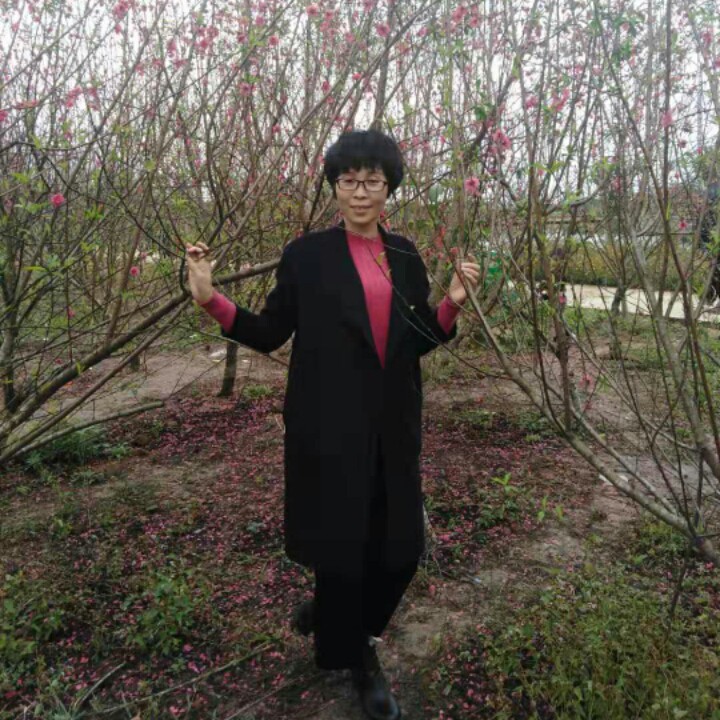 木材市场回暖 纤维板趋势反弹不再遥远:hth官网入口(图2) 华体会体育hth官方网站