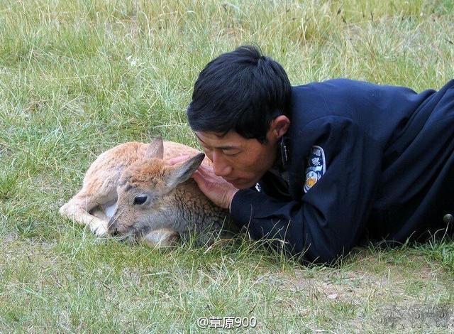 华体会体育hth官方网站