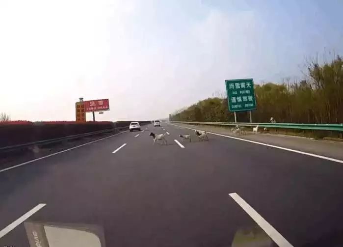 华体会体育hth官方网站:武磊该何去何从?张呈栋就是个榜样!(图1) 华体会体育hth官方网站