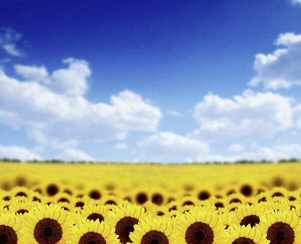 华体会体育hth官方网站