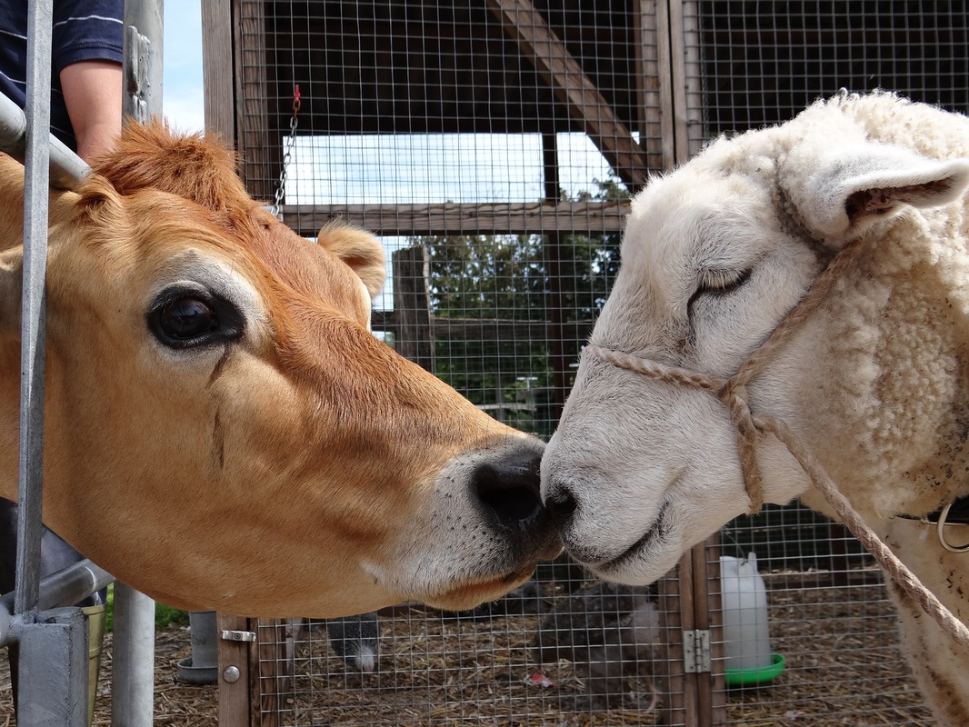 华体会体育hth官方网站