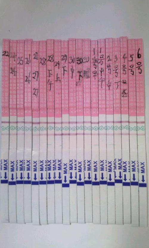 华体会体育hth官方网站