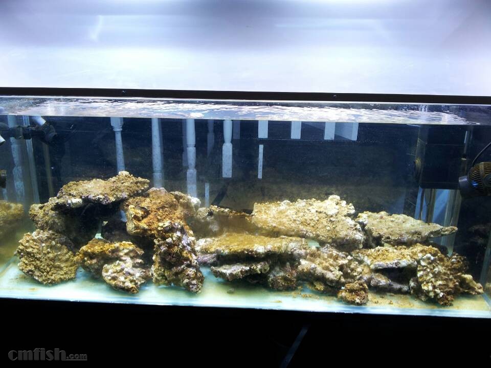 hth官网入口|国安相继错失两大青训新星!如今他们都已成国字号球队核心(图1) 华体会体育hth官方网站