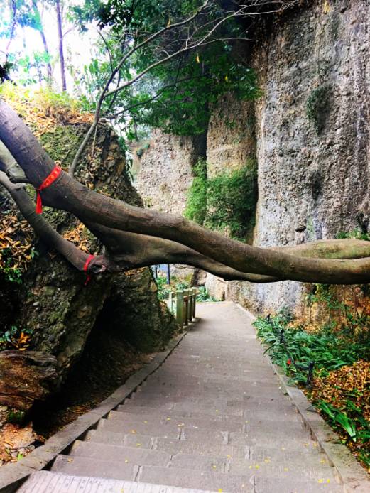 申花本赛季最佳内援人选浮出水面 能攻善守未来或进国足_hth官网入口(图1) 华体会体育hth官方网站