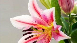 华体会体育hth官方网站