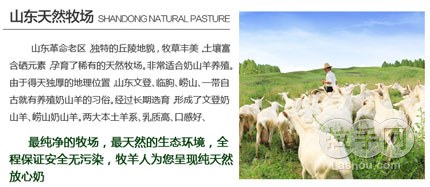 华体会体育hth官方网站