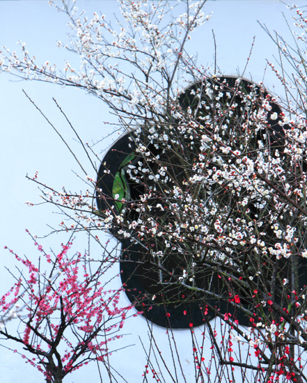 他们靠《流浪地球》大赚一笔 无情撤资却让延边足球前途堪忧:hth官网入口(图1) 华体会体育hth官方网站