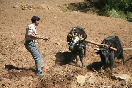 华体会体育hth官方网站