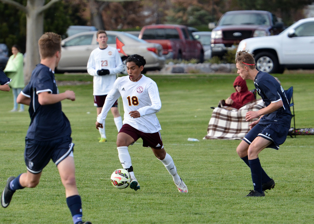 北美锯材市场未有明显变化 白栓短线价格或将上涨-hth官网入口(图2) hth官网入口