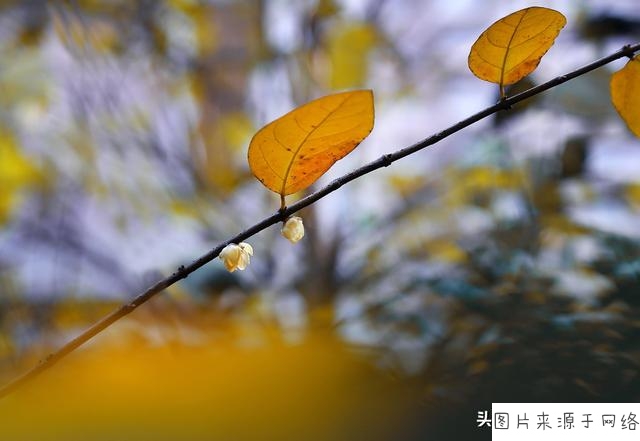 华体会体育hth官方网站