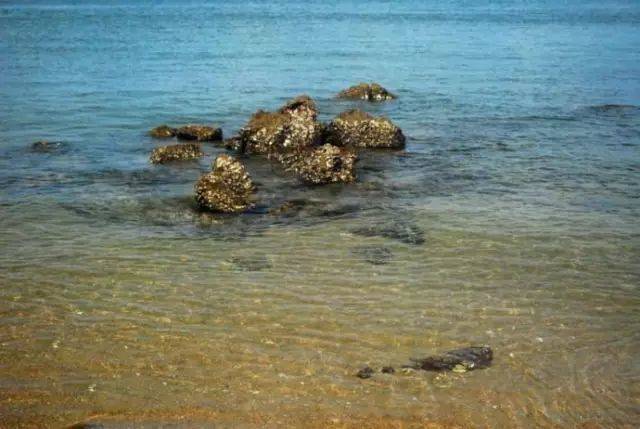 华体会体育hth官方网站