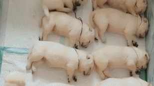 华体会体育hth官方网站