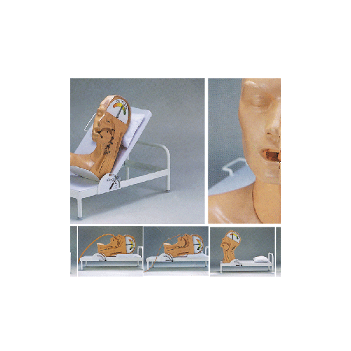 华体会体育hth官方网站