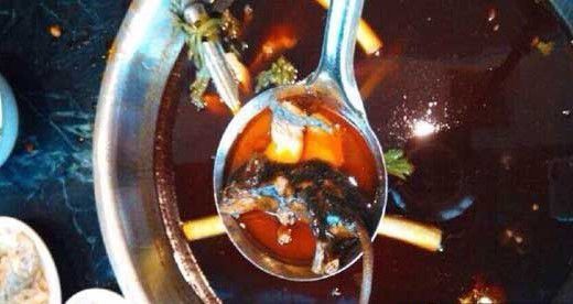 华体会体育hth官方网站