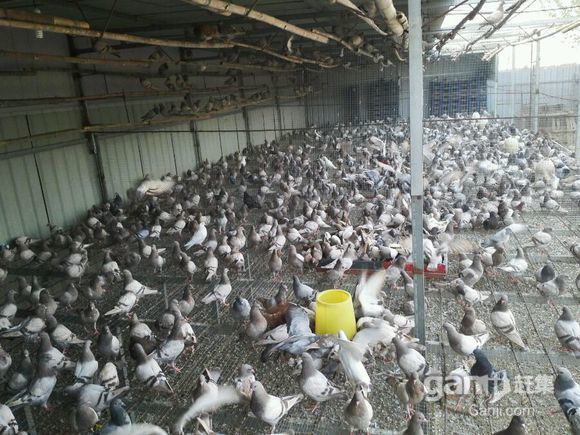 hth官网入口-东营人造板厂在内的6家企业认定为东营市级中小企业“一企一技术”创新企业(图2) 华体会体育hth官方网站