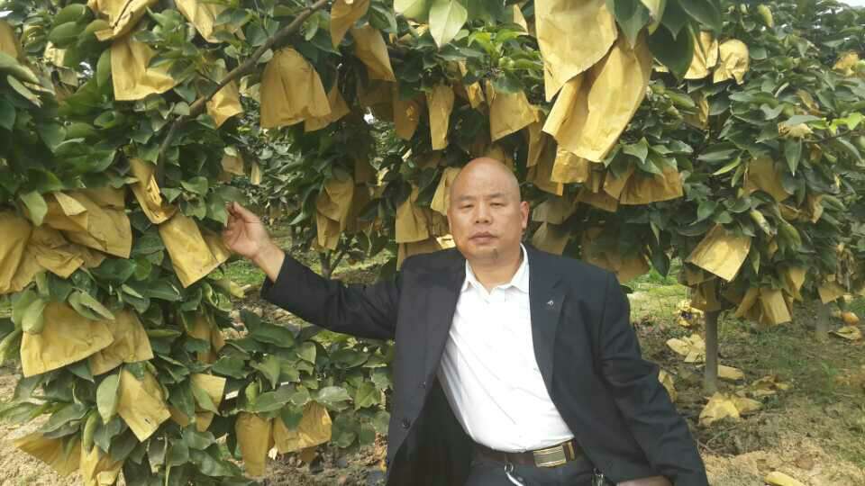 华体会体育hth官方网站