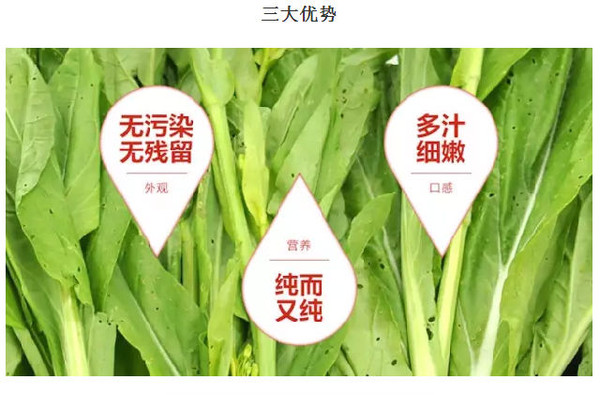 “华体会体育hth官方网站”北京德比超火爆 观踩场球迷超百人 两队着眼未来(图1) hth官网入口