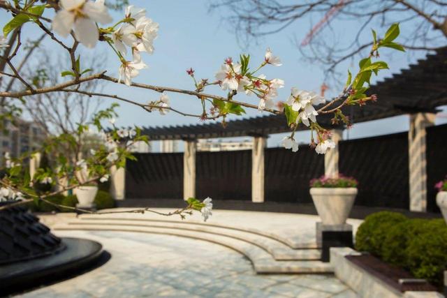 华体会体育hth官方网站