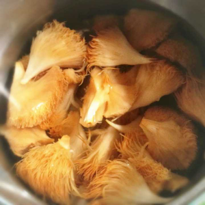 华体会体育hth官方网站